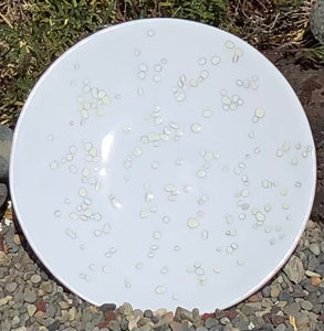 Pebbles Fused Glass 12” Bowl