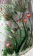 Load image into Gallery viewer, Queen Anne’s Lace