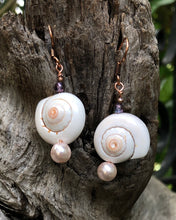 Load image into Gallery viewer, Beach Baby Shell Earrings