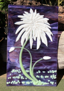 White Bloom on Purple