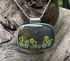 Blooming Desert Flowers