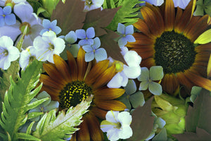 Floral Notecard SC310