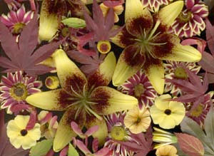 Floral Notecard SC141