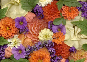 Floral Notecard SC156
