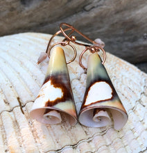 Load image into Gallery viewer, Shell Earrings - Shell Spirals