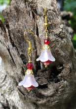 Load image into Gallery viewer, White over Red Tulip Style Earrings