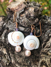 Load image into Gallery viewer, Beach Baby Shell Earrings
